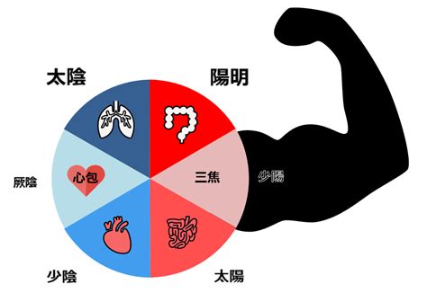 三陰三陽 日本|陰一陽と三陰三陽